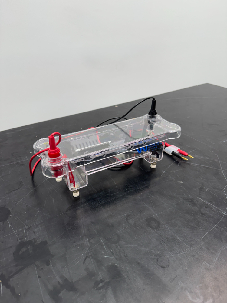Image of Walter Electrophoresis Unit